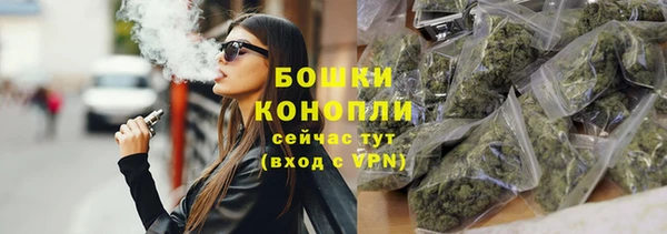 PSILOCYBIN Осташков