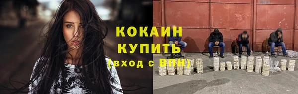 PSILOCYBIN Осташков