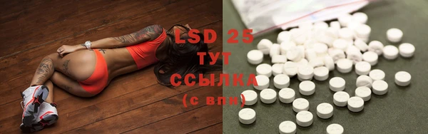 стафф Осинники