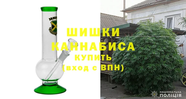 PSILOCYBIN Осташков