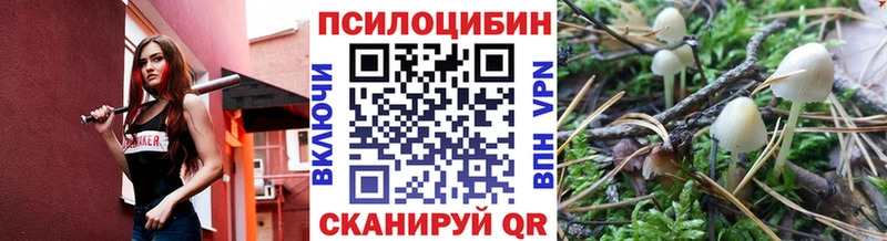 Галлюциногенные грибы ЛСД  Александровское 